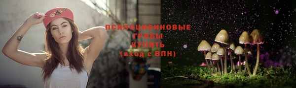 дживик Алзамай