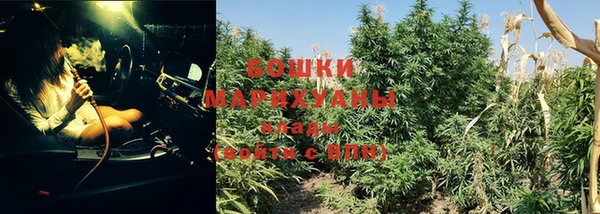 мяу мяу мука Новодвинск
