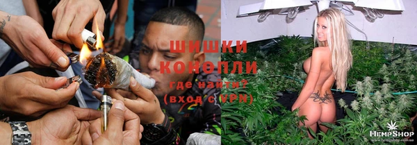 дживик Алзамай