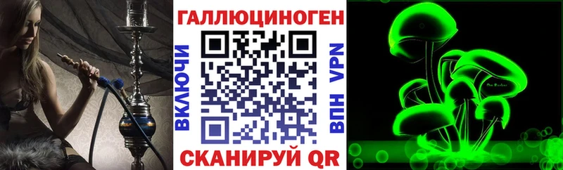 Псилоцибиновые грибы Psilocybine cubensis Плавск